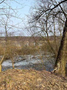 magnificent landscape flooding of the riverbed in early spring in March