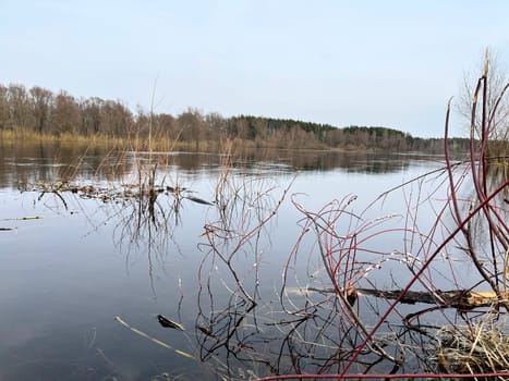 magnificent landscape on the banks of the willow river in early spring in March