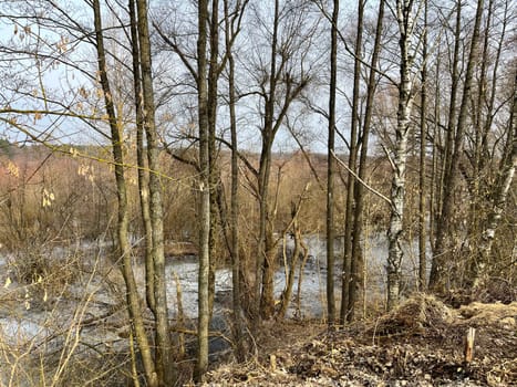magnificent landscape flooding of the riverbed in early spring in March