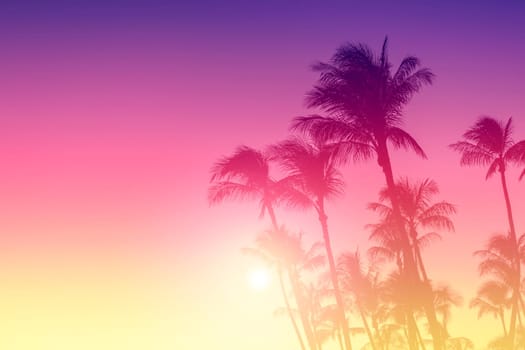 Silhouette coconut palm tree on sunset sky background