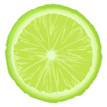 Green lemon slice isolated on white background