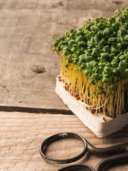 Fresh organic cress with kitchen scissors on a rustic kitchen table, healthy food, view from above, space for text