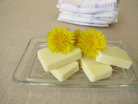 Homemade solid body butter with dandelion oil, cocoa butter, coconut oil