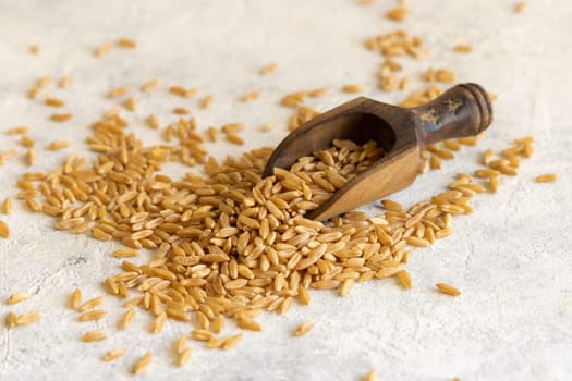 Wooden spoon of dry raw rye grain on white table close up. Healthy alternative low gluten seeds. Protein source for vegan and vegetarian diet.