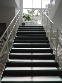 Staircase in the school interior. New modern school. Steps and handrails. Sunshine from a large window. Monstera in a pot on the landing. Modern office or institution design.