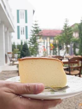 Piece of cheesecake serving in the garden, stock photo