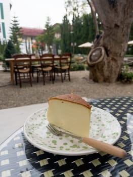 Piece of cheesecake serving in the garden, stock photo