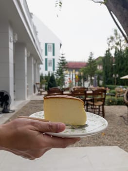 Piece of cheesecake serving in the garden, stock photo