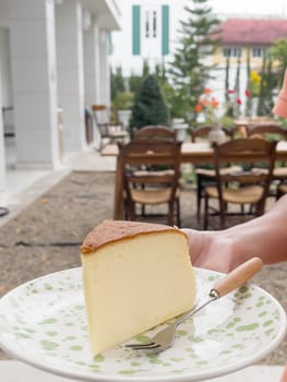 Piece of cheesecake serving in the garden, stock photo