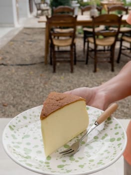 Piece of cheesecake serving in the garden, stock photo