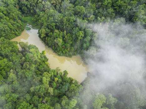 Aerial top down view morning cloud at old dam in rainforest