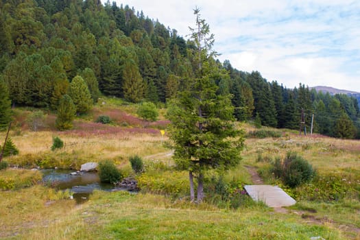 Landscape in Austian Alps, Steiermark, Austria