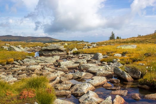 A clear mountain stream on the green meadows in the Austrian Alps, Steiermark, Austria