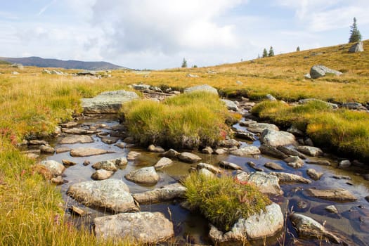 A clear mountain stream on the green meadows in the Austrian Alps, Steiermark, Austria