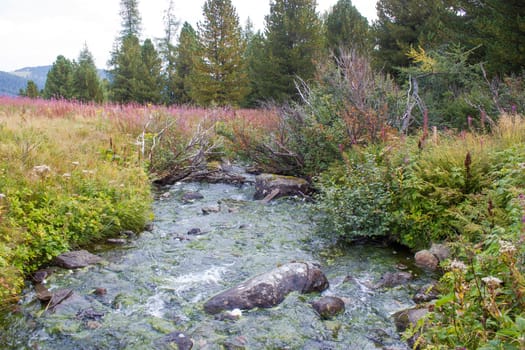 A clear mountain stream on the green meadows in the Austrian Alps, Steiermark, Austria