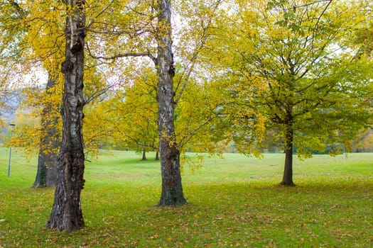 autumn in Toscana Park in Gmunden, Austria