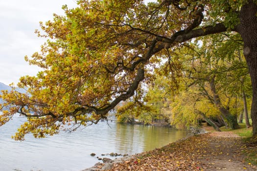 autumn view of lake and trees in Toscana Park, Gmunden
