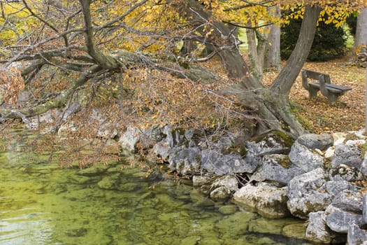 autumn view of lake and trees in Toscana Park, Gmunden