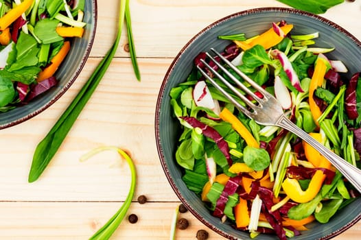 Tasty spring green salad with vegetables and bear leek or wild garlic. Allium ursinum