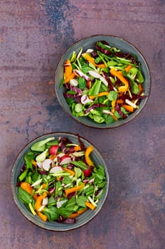 Tasty spring green salad with vegetables and bear leek or wild garlic. Allium ursinum