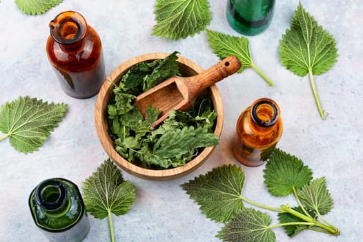 Fresh nettle leaves and pharmacy bottle on the table. Medicinal plant