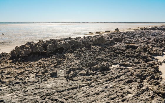 Small irregular dry stones visible at sand beach washed by sea water on a sunny day, closeup detail.