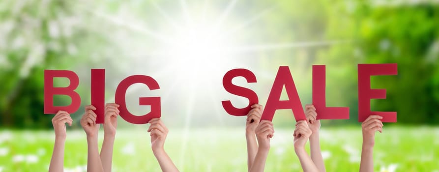 People Or Persons Hands Building English Word Big Sale. Sunny Green Grass Meadow As Background.