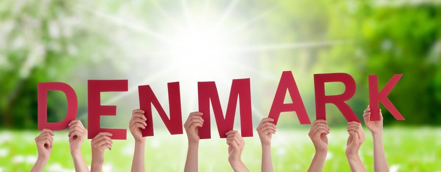 People Or Persons Hands Building English Word Denmark. Sunny Green Grass Meadow As Background.