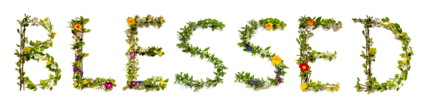 Blooming Flower Letters Building English Word Blessed. Colorful Spring and Summer Blossoms. White Isolated Background.