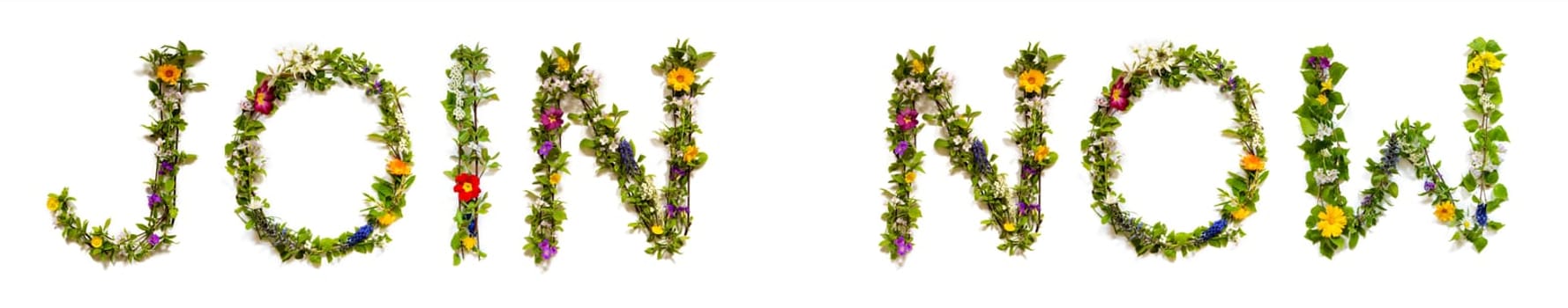 Blooming Flower Letters Building English Word Vacation. Colorful Spring and Summer Blossoms. White Isolated Background.