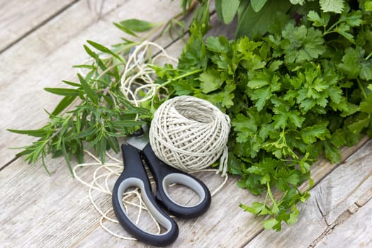Freshly harvested herbs with scissors and string on wooden background
