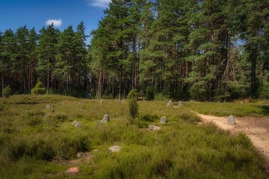 Stone Circles at Odry surrounded by pine forest, an ancient burial and worship place. UNESCO Archaeological and Natural Reserve, Pomerania, Poland