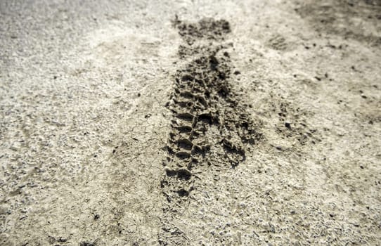 Detail of tire sign on a muddy ground in nature