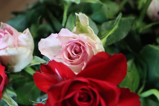 pink flower beautiful skewer-colored skewers natural leaves
