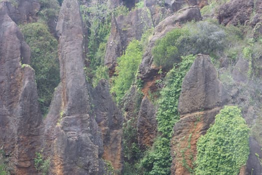 beautiful nature park full of animals of all kinds