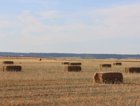 beautiful plateau field Spain harvests straw bales summer heat