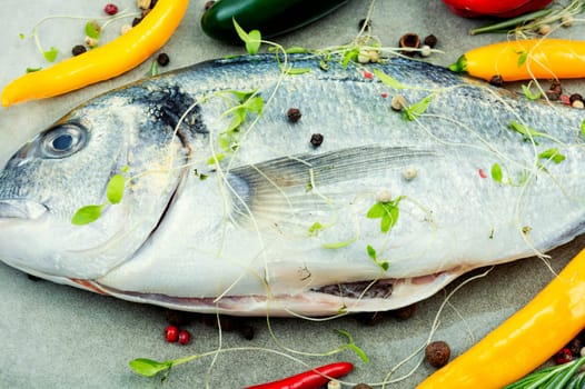 Raw whole dorado fish and spices for cooking. Gilt-head bream