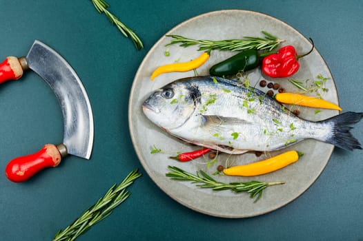 Raw whole dorado fish and spices for cooking. Gilt-head bream