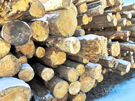 pine firewood stacked on the street in winter under the house