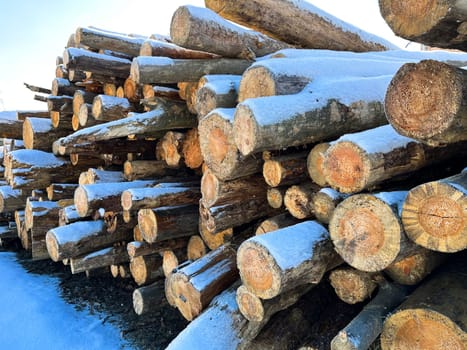 pine firewood stacked on the street in winter under the house