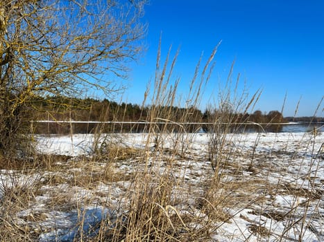 river without ice - winter landscape