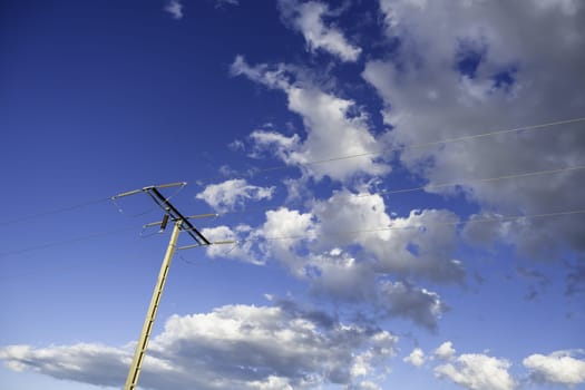 Detail of electrical energy transport in nature