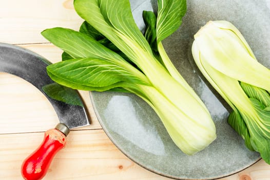 Bunches of fresh organic bok choy or Chinese cabbage on rustic wooden background