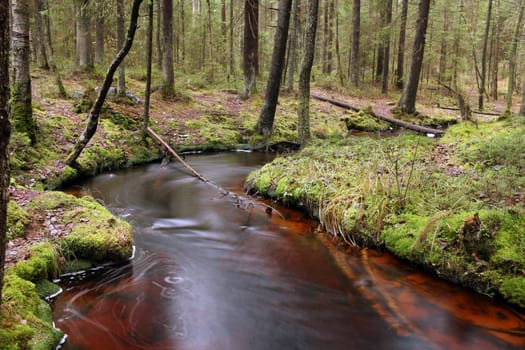 beautiful forest landscape with a river in the foreground, long exposure
