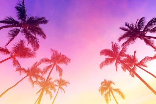 Silhouette coconut palm tree on sunset sky background