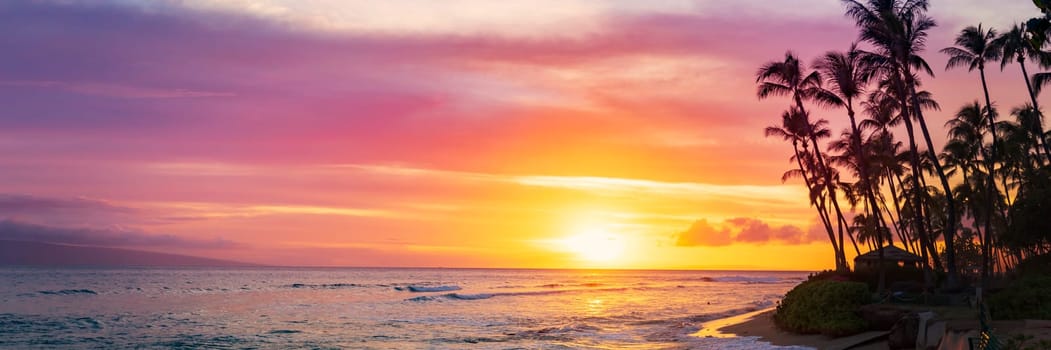 Silhouette coconut palm tree on sunset sky background