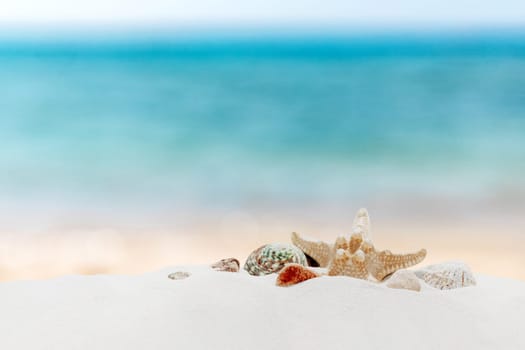 Vacation, beach, travel, relaxation concept. Symbolic background with beach sand, different colorful shells, blue sky, clouds, sea or ocean on back. Minimalism. Copy space for business advertisement