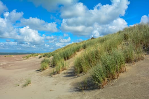 Sea and sand dunes on the North Sea coast in the Netherlands on the island of Schouwen-Duiveland