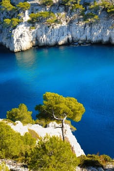 Calanques of Port Pin in Cassis in France near Marseille