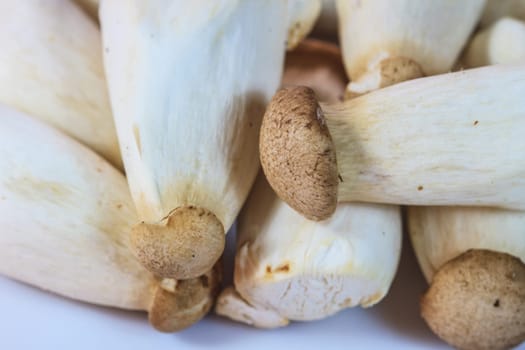close up mushroom on white background for cooking